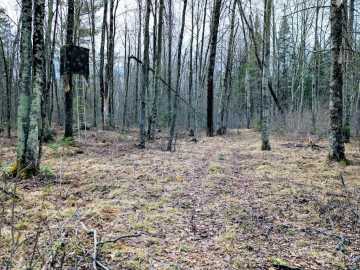Property Photo 26