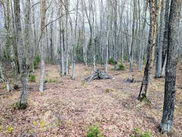 Property Photo 33