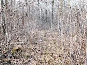 Property Photo 41