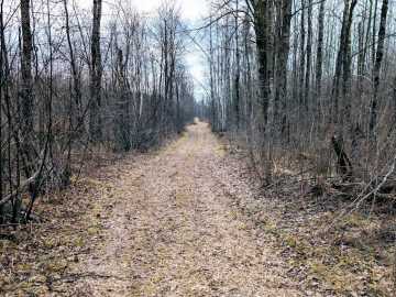 Property Photo 42