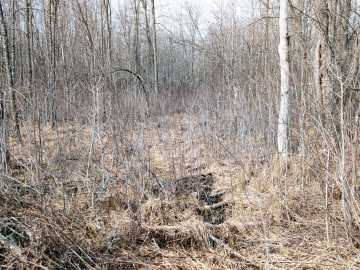 Property Photo 44