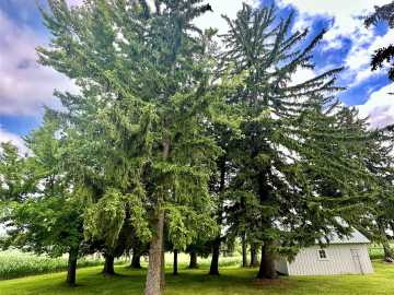Property Photo 38