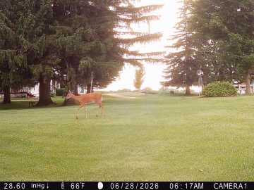 Property Photo 47