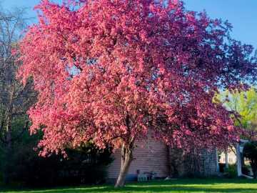 Property Photo 33