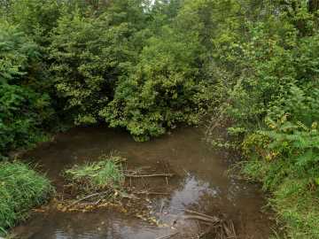 Property Photo 39