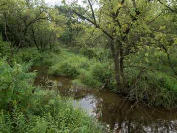 Property Photo 41