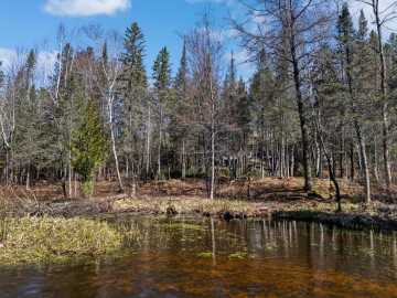 Property Photo 44