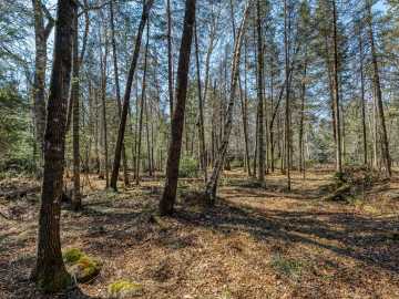 Property Photo 47