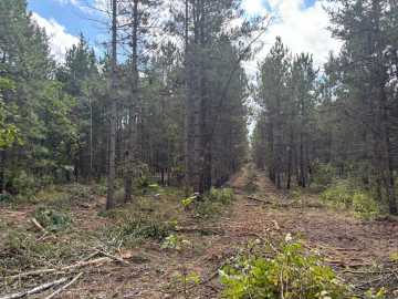 Property Photo 24