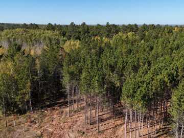 Property Photo 44