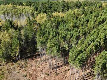 Property Photo 45