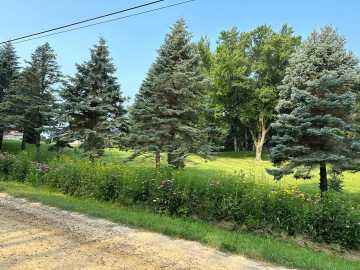 Property Photo 95