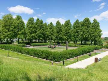 Property Photo 62