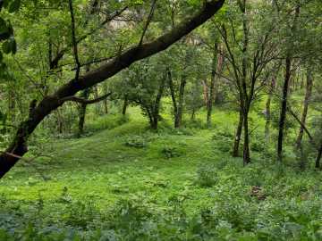 Property Photo 63