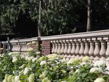 Property Photo 66