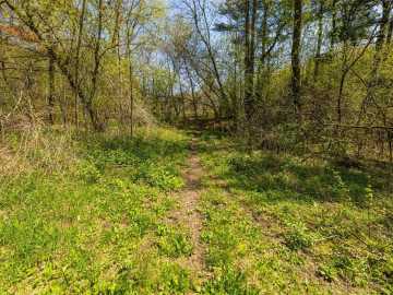Property Photo 39