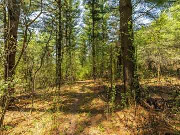 Property Photo 47