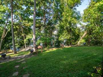 Property Photo 56