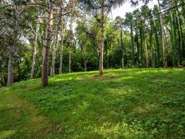 Property Photo 54