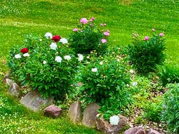 Property Photo 56