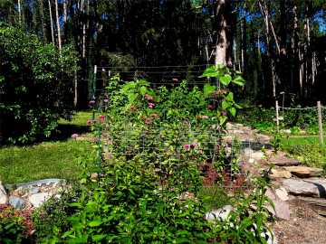 Property Photo 57