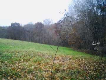 Property Photo 41