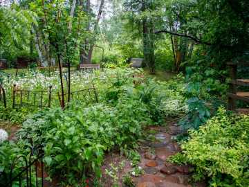 Property Photo 33