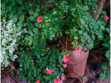 Property Photo 41