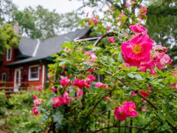 Property Photo 44