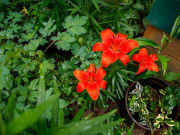 Property Photo 54