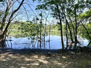 Property Photo 24