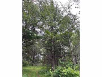 Property Photo 38