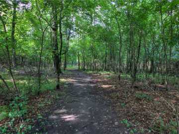 Property Photo 54
