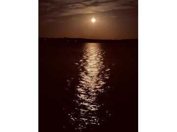 Property Photo 66