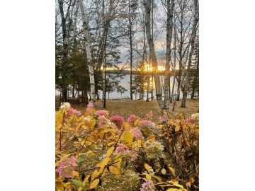 Property Photo 77