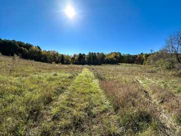 Property Photo 39