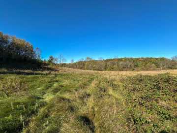Property Photo 41