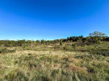 Property Photo 53