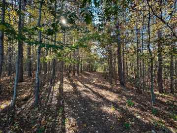 Property Photo 54