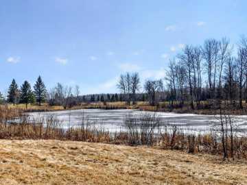 Property Photo 45