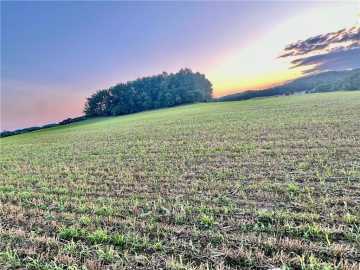 5.01 Acres 740th Avenue, Elk Mound