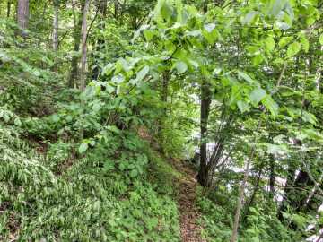 Property Photo 44