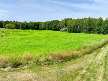 Property Photo 41