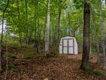Property Photo 39