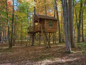 Property Photo 38