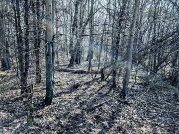 Property Photo 24