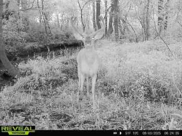 Property Photo 53