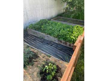 Property Photo 54