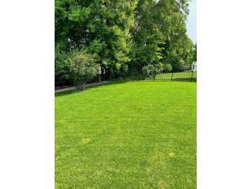 Property Photo 59