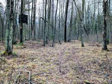 Property Photo 30